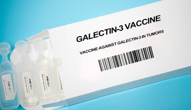 Galectin-3 Vaccine