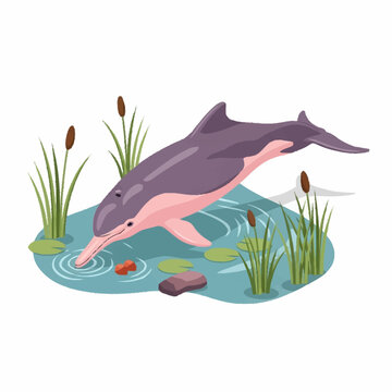 Illustration of a pink and purple river dolphin jumping in a pond with green reeds, lily pads, and ripples on the water surface, isolated on a white background for design use.