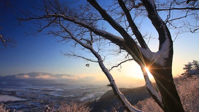 小牧城の着雪した樹林と朝日の木もれ日と烏帽子岳などの山並み