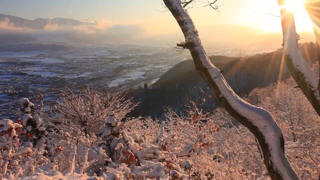 小牧城の着雪した樹林と朝日の木もれ日と烏帽子岳などの山並み