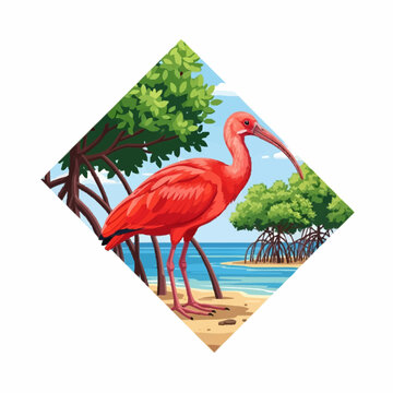 Digital vector illustration of a red scarlet ibis bird standing on a sandy beach with green mangrove trees and tropical ocean water, framed in a white diamond-shaped border.