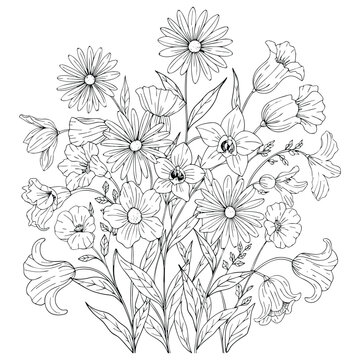 Hand drawn botanical blooming flowers outline for coloring page.