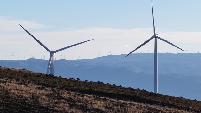 Aerial view of white wind turbines standing tall on a hill, creating a striking contrast against the landscape, Amarante, Portugal.