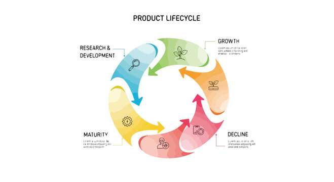 Product lifecycle infographic vector, business process cycle with 5 stages, circular flow chart for research growth maturity and decline