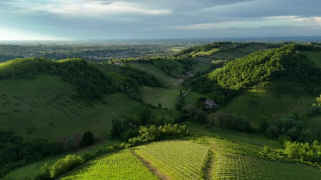 This aerial footage captures the serene beauty of lush green hills, vineyards, and a small village nestled in the Arda valley below, bathed in the warm glow of the setting sun, Emilia Romagna, Italy