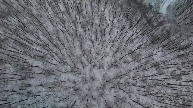 Pilisszentl&aacute;szl&oacute;, a traditional Hungarian village nestled in the snowy Pilis Mountains, is surrounded by frosty deciduous forest and rural roads in winter, captured from an aerial reveal perspective.