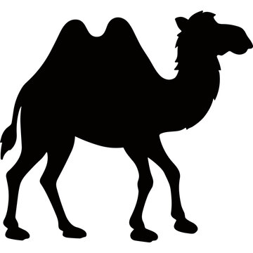 A black silhouette of a camel walking on a plain background