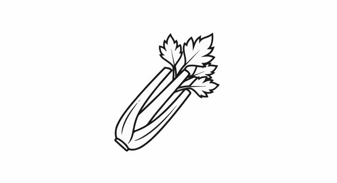 Simple line drawing of a bunch of celery with leaves