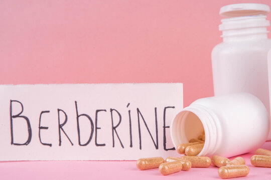 Medical supplement berberine