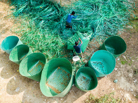 Manikganj, Bangladesh - 15 January 2025: Aerial view of two men working amidst a vibrant green heap of material, with a scattered array of matching containers adding depth.