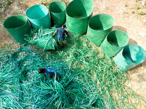 Manikganj, Bangladesh - 15 January 2025: Aerial view of vibrant green coils and baskets scattered around figures, creating a scene of organized chaos in a sun-drenched open space.