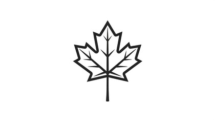 Obraz premium Maple Leaf Outline.