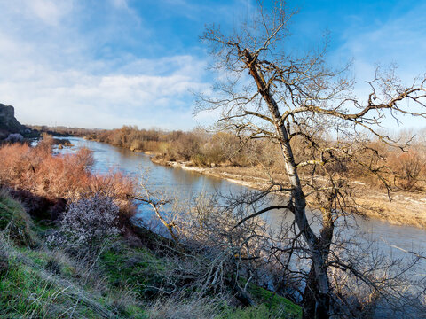 Rio Jarama en invierno