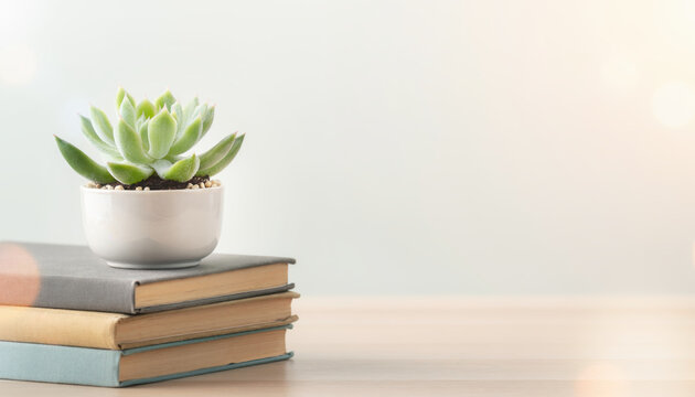 Succulent plant stack book tabletop copy space brainstorming workspace minimalist still life with potted succulent book stack wooden tabletop
