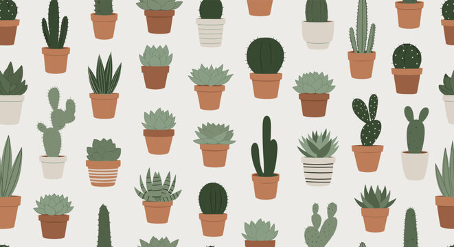 Seamless pattern background featuring various types of cacti and succulents in different pots and colors.
