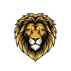 Obraz premium Lion Head Illustration with Golden Mane.