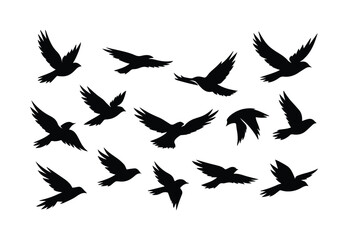 Obraz premium Flying birds vector silhouette set, black bird flock in various flight poses, dynamic avian collection, nature and freedom concept graphic resource