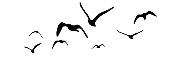 Obraz premium flock of duck birds flying on clear background png. png flock of birds flying in sky isolated clear background. flock of birds silhouette isolated on transparent clear background