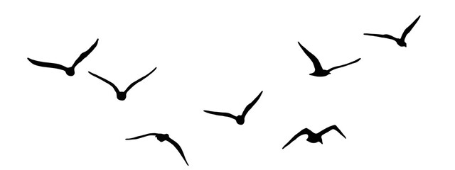 Obraz premium flock of duck birds flying on clear background png. png flock of birds flying in sky isolated clear background. flock of birds silhouette isolated on transparent clear background