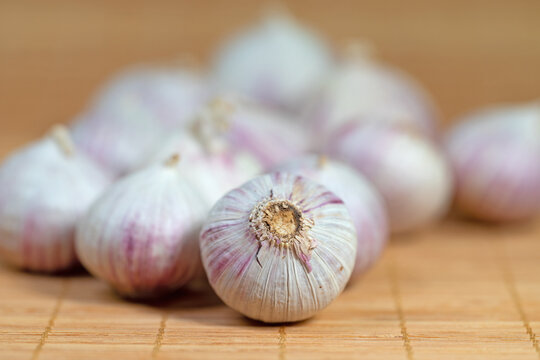 Soloknoblauch in einer Nahaufnahme