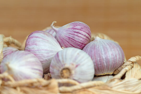 Soloknoblauch in einer Nahaufnahme