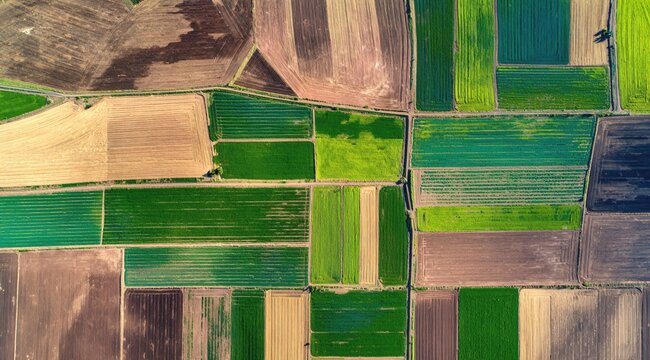 Aerial view of patchwork farmland, green and brown agricultural fields