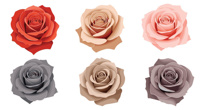 Realistic collection of six rose flower heads in various shades including red, pink, cream, and gray for floral design and arrangements.