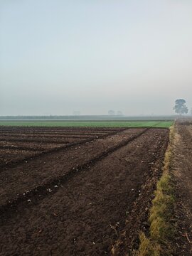 plowed field in the morning