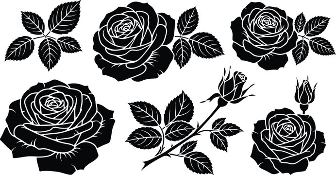 Black Rose Silhouette Set with Leaves Buds and Stems Elegant Floral Collection for Tattoo Design Decorative Elements and Vector Illustration
