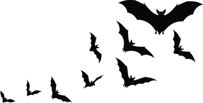 A swarm of bats in flight a halloween silhouette scene
