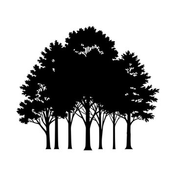 Black Silhouette of a Group of Forest Trees Vector Illustration