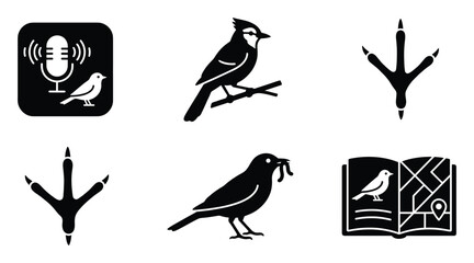 Fototapeta premium Essential black and white birdthemed vector icons for birdwatching, ornithology, and nature studies, perfect for educational materials, wildlife guides, and digital applications.