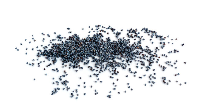 Poppy Seed Isolated, Blue Poppyseed Pile