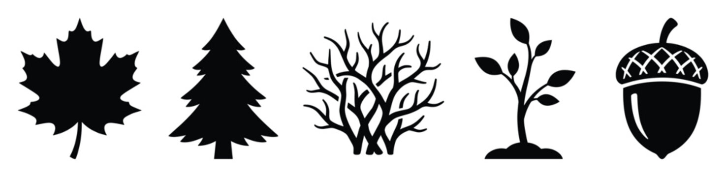 Set of essential black nature icons featuring a maple leaf, pine tree, bare branches, young sprout, and an acorn, perfect for environmental themes, educational materials, and various