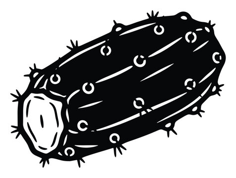 Monochromatic graphic illustration of a spiky desert cactus pad featuring circular areoles and sharp thorns, ideal for botanical themed designs or natural product branding.