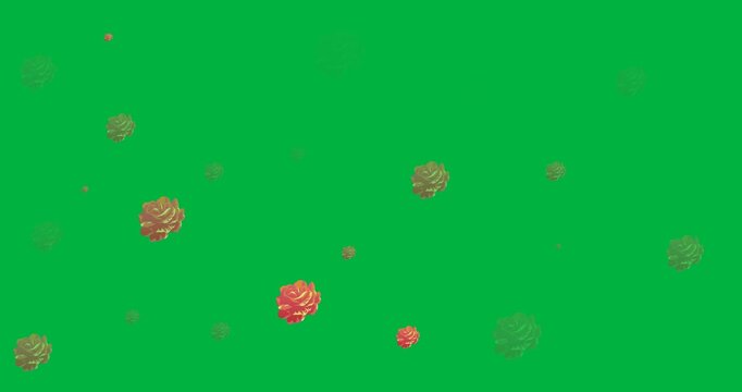 Preview loading, stylized rose motifs appearing, shifting, pulsing, forming overlay on clear canvas