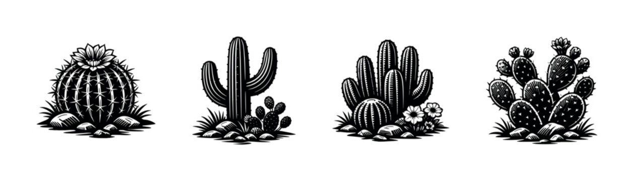 Black and white vector illustration of various cactus types in silhouette style