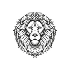 Obraz premium Detailed illustration of a lions face 1.