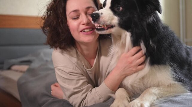 Smiling woman playing with cute puppy dog border collie on bed at home indoor. Owner girl stroking holding dog friend sitting on sofa in living room. Love for pets friendship support team concept