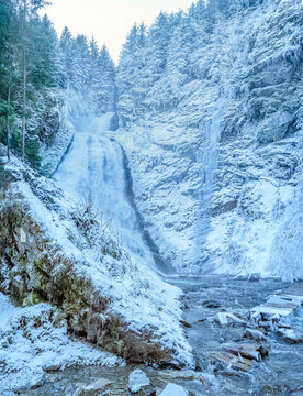 Bride's Veil Waterfall, Apuseni Mountains, Transylvania, Romania: Frozen waterfall and icy river in winter forest