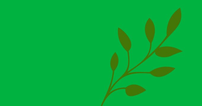 Digital animation of branch with green leaves icon against black background