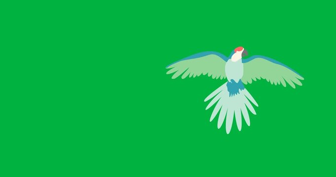 Digital animation of macaw bird icon against black background