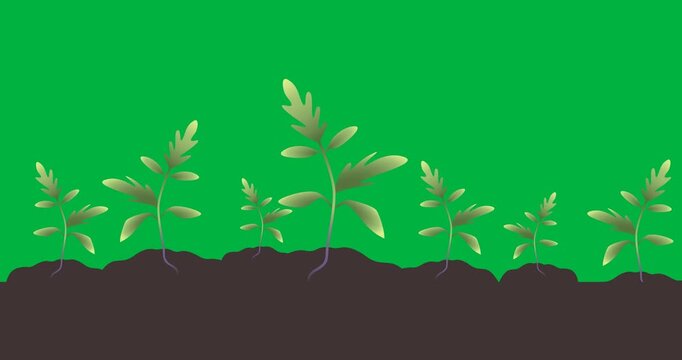 Digital animation of plant sampling on soil against black background