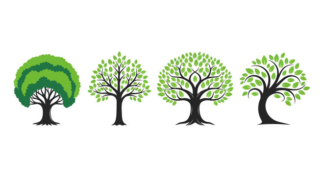 Set of four diverse stylized trees with green foliage on a white background, representing different stages of growth and seasons