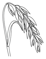 Obraz premium Minimalist continuous line drawing of a healthy oat plant with mature grains, perfect for food packaging, agricultural designs, and wholesome lifestyle branding projects