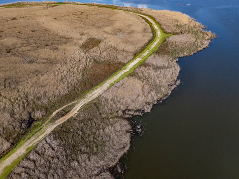 Winding Path Separating Wetland Reeds and Tranquil Water
