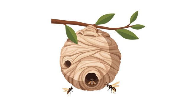 Wasp Nest Hanging from Tree Branch with Wasps Vector Illustration