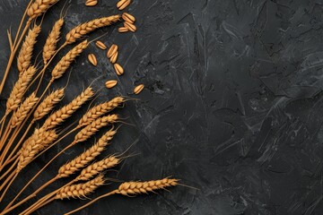 Fototapeta premium Wheat stalks and grains arranged on a textured black backdrop, creating a rustic and natural aesthetic with copy space