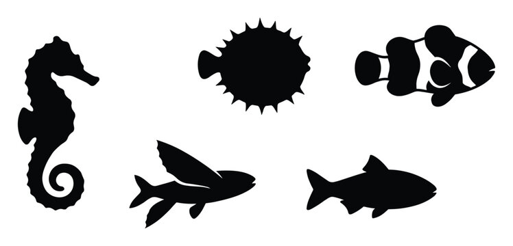 Marine life animal silhouettes collection featuring various tropical sea creatures ideal for ocean education materials or aquatic themed graphic projects