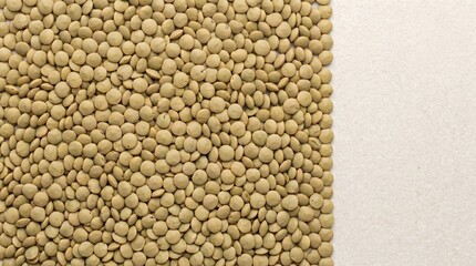 Fototapeta premium Lentils background and texture, healthy food and diet concept grain macro, seed texture, cereal top-down, food grain background, wheat seed macro, copy space